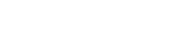 Swank Development